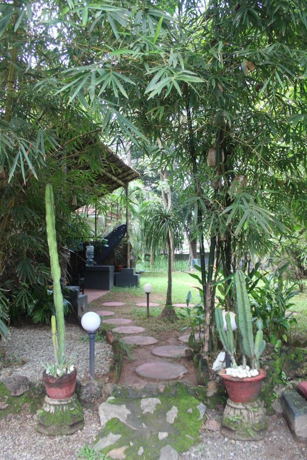 شقة Mint Inside Garden فاركَالا المظهر الخارجي الصورة